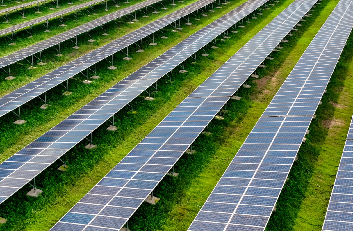 Climate Resilience and Circularity