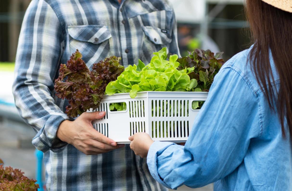 Community Livelihood and Health