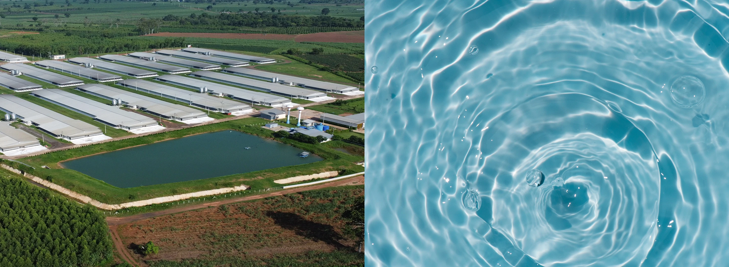 การบริหารจัดการทรัพยากรน้ำในธุรกิจอย่างมีประสิทธิภาพ