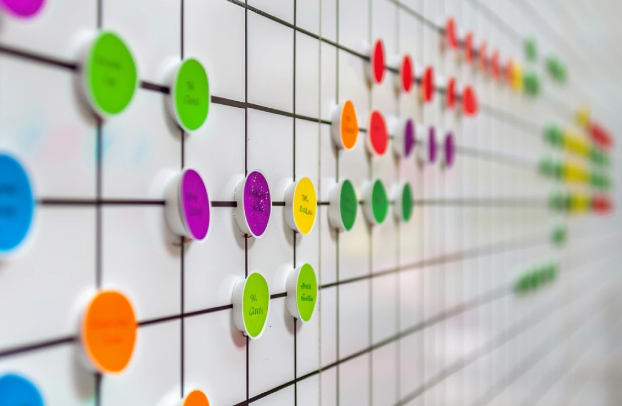 Materiality Assessment and Stakeholder Engagement