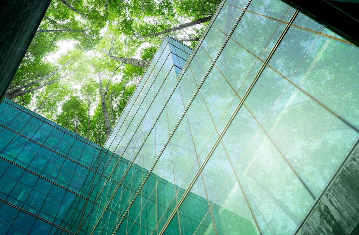 Message from Executives