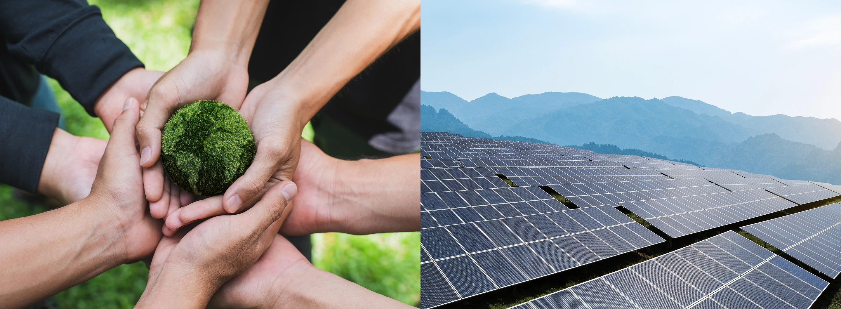 เส้นทางสู่การปล่อยก๊าซเรือนกระจกสุทธิเป็นศูนย์