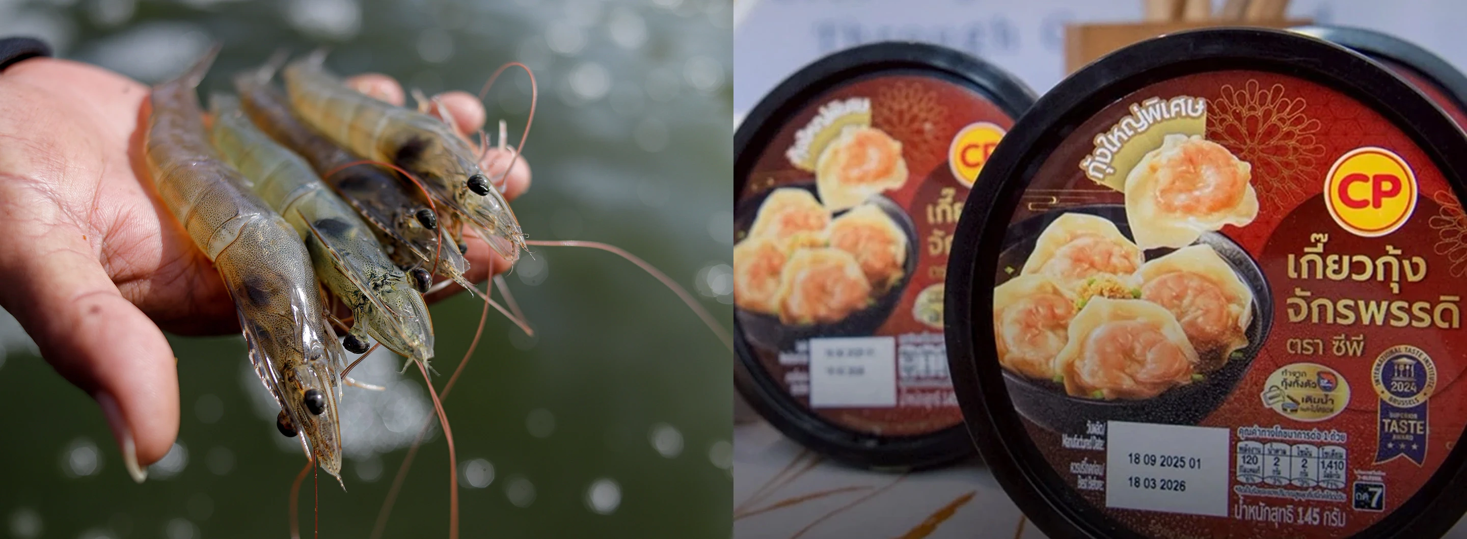 Quality and Food Safety Management