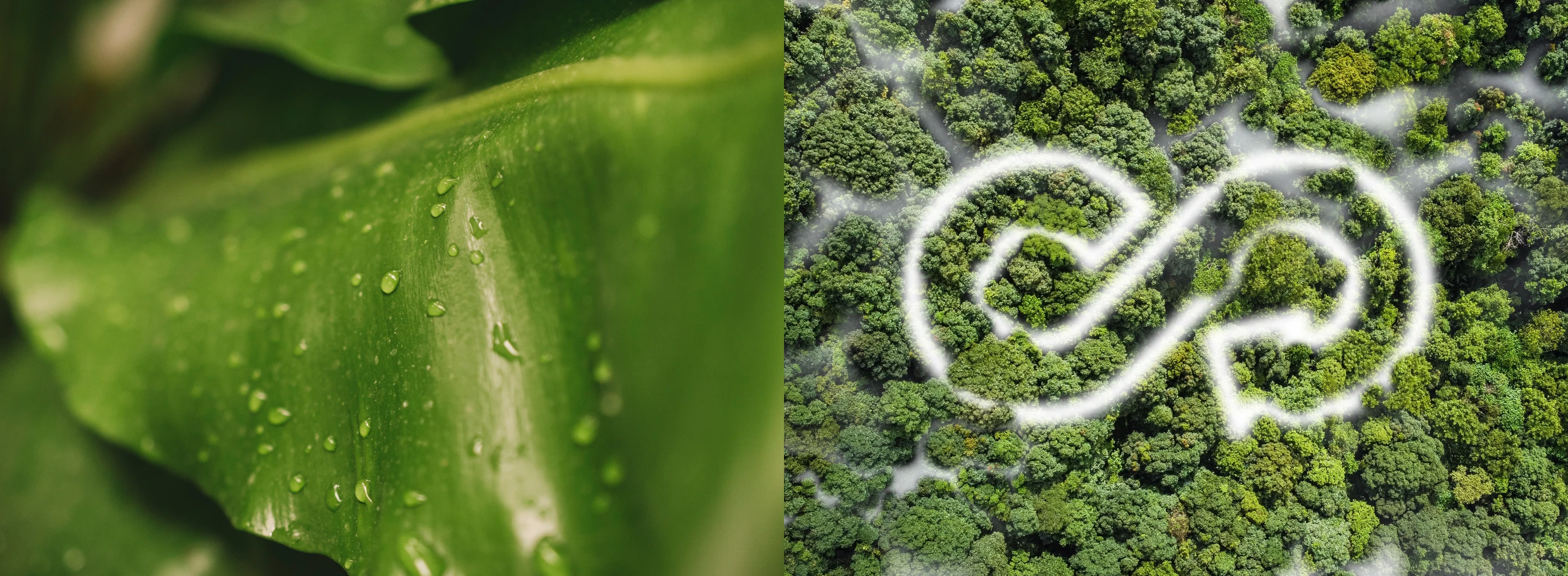 Reimagining Waste for a Circular Future