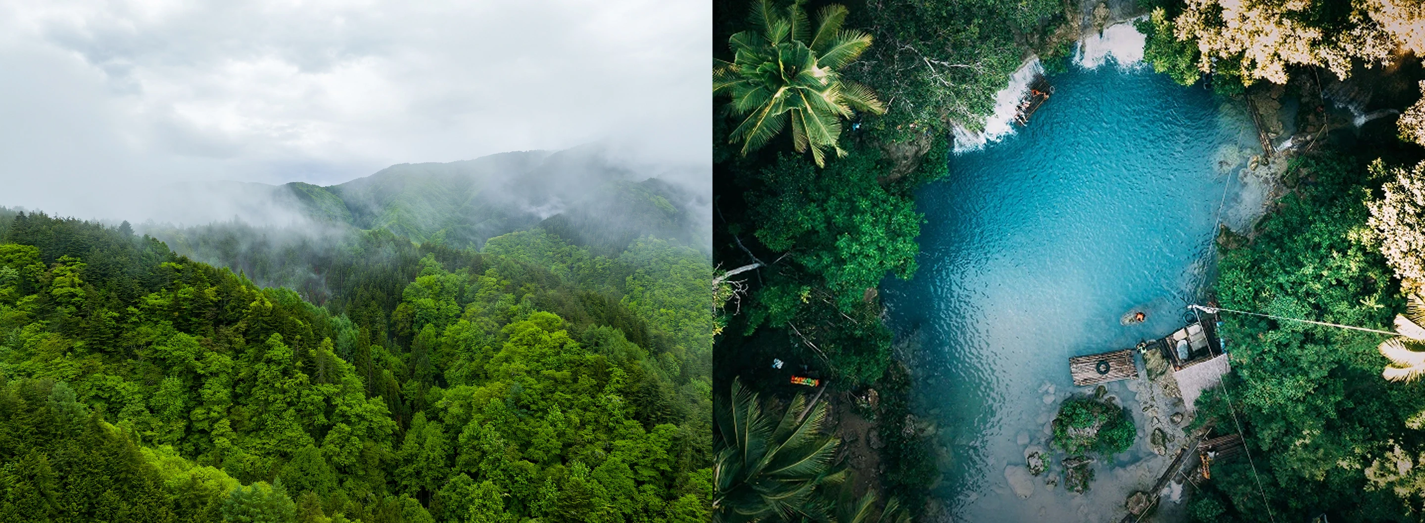 การฟื้นฟูธรรมชาติและระบบนิเวศ