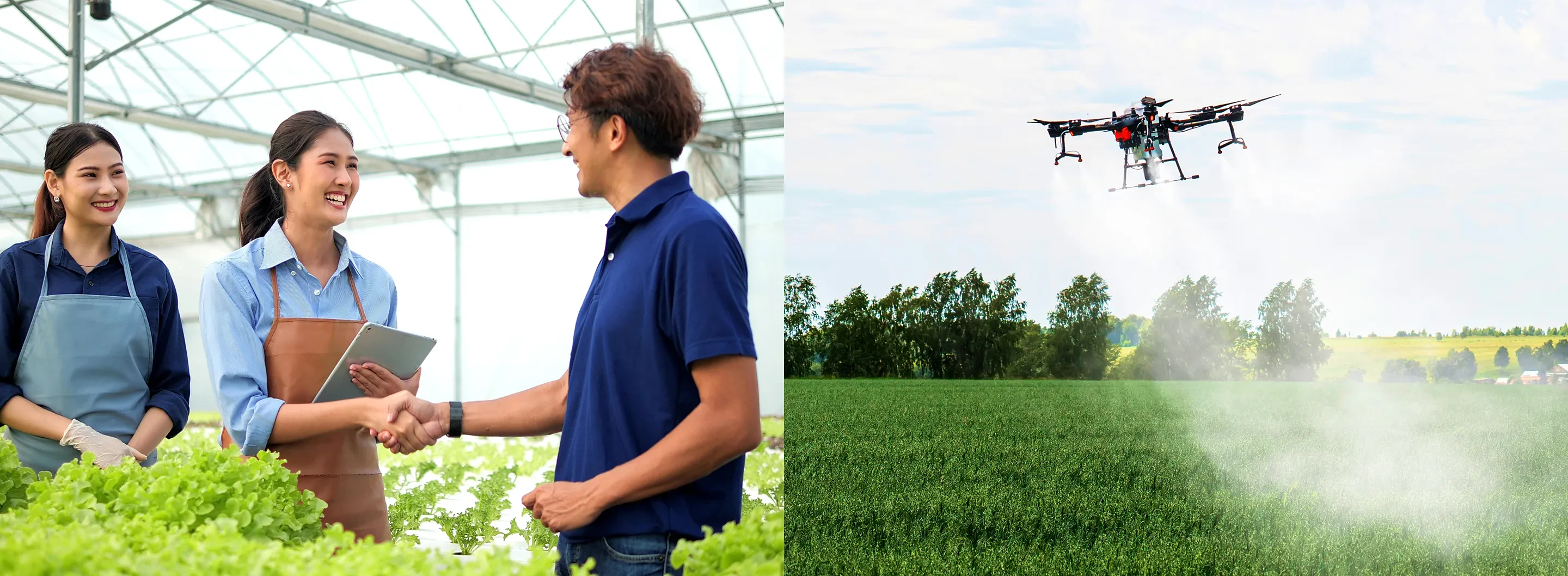 การเสริมสร้างขีดความสามารถและสร้างแรงจูงใจให้กับคู่ค้าธุรกิจ