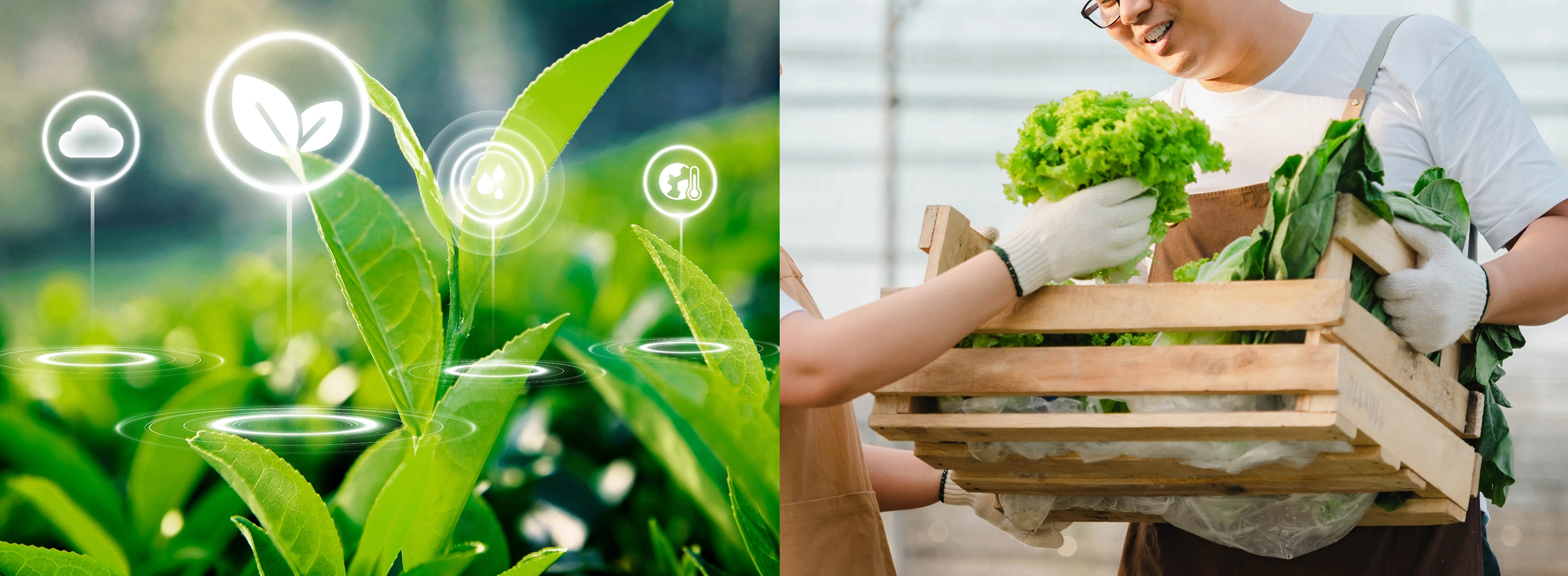 Supplier Due Diligence