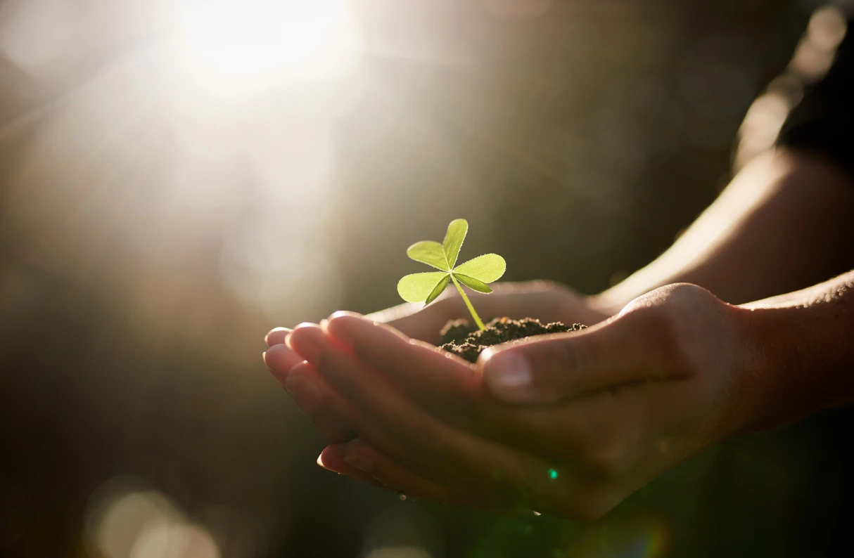 Sustainability at CPF