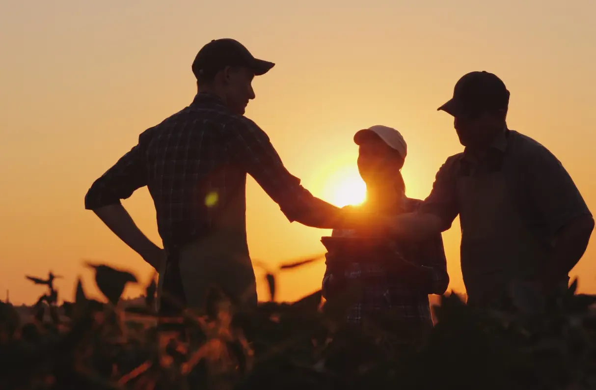 Sustainability in Action