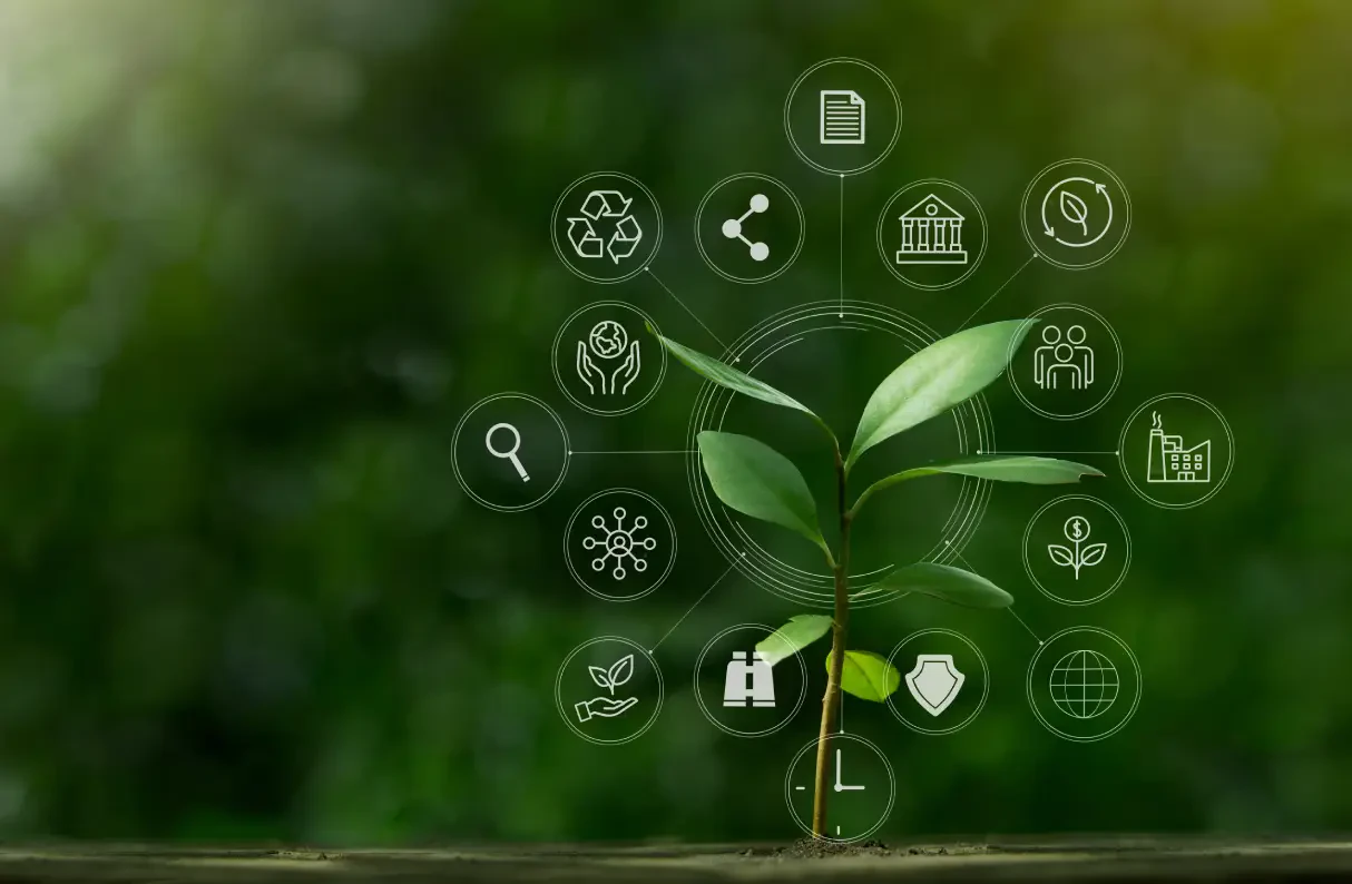 Sustainability Reports