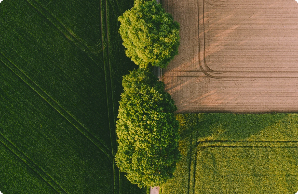 Sustainability Targets and Progress