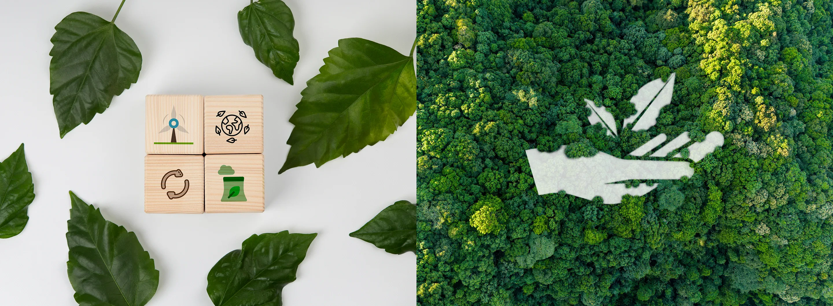 Sustainable Sourcing Policy and Supplier Guideline Principle