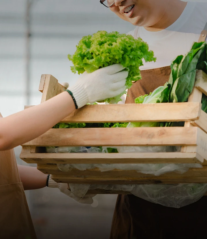 Supplier Due Diligence