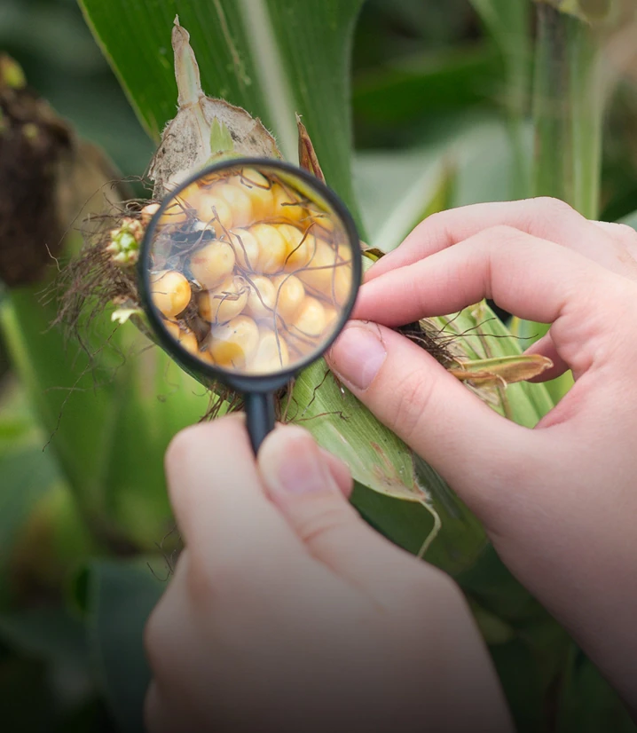 Supply Chain Traceability