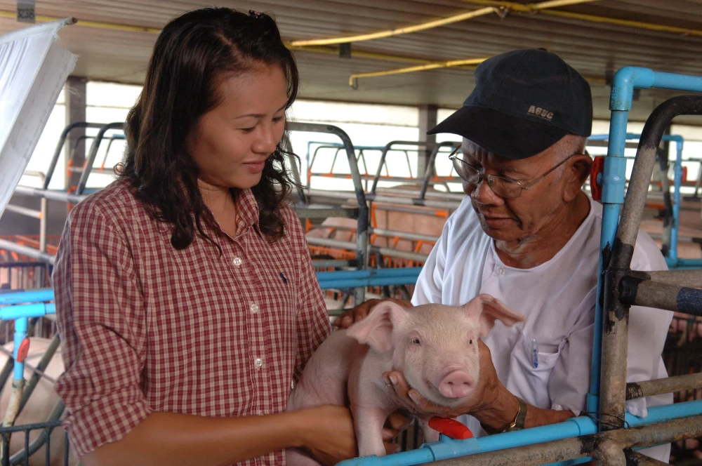 ส่งเสริมอาชีพการเลี้ยงสัตว์แก่เกษตรกรรายย่อย (Contract Farming)