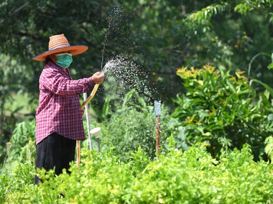 โครงการปันน้ำปุ๋ยสู่เกษตรกร
