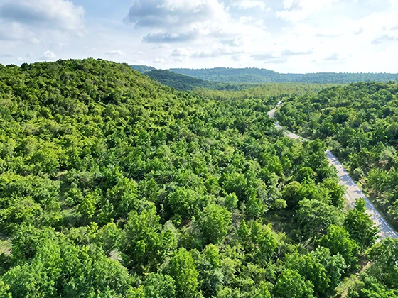 CPF Ecosystem Conservation Project (Rak Ni-ves Project), Pasak Watershed, Phraya Doen Thong Mountain in Thailand