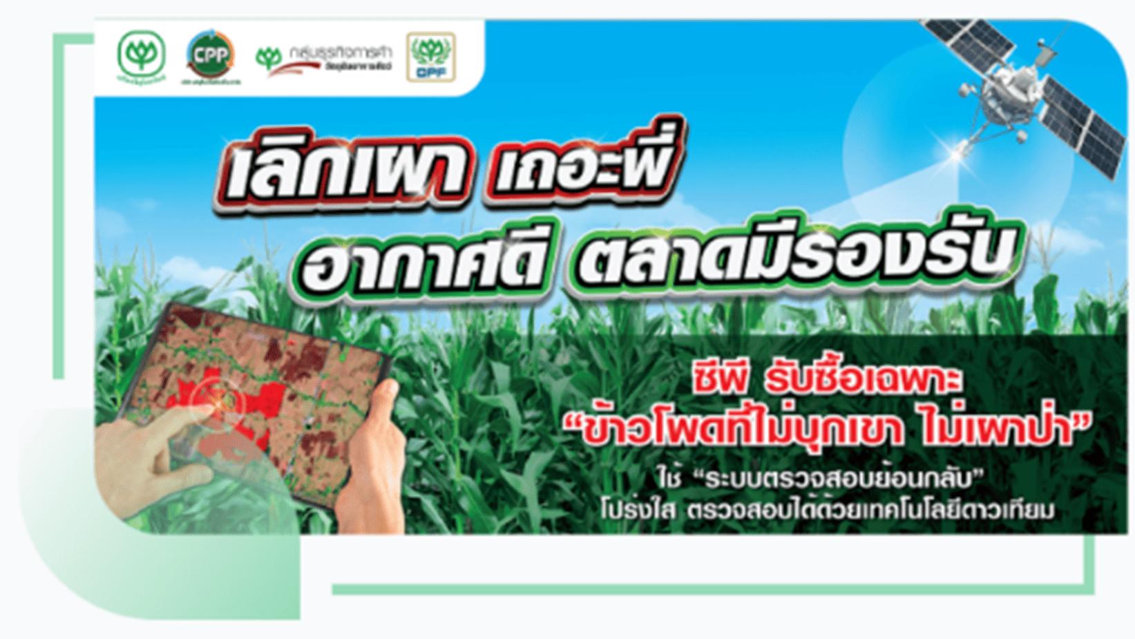 แคมเปญรณรงค์ในกลุ่มเกษตรกร เลิกเผาเถอะพี่ อากาศดี ตลาดมีรองรับ