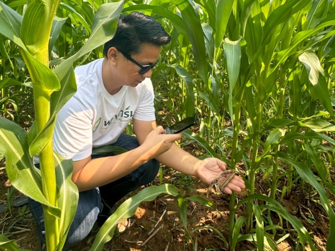 การรับรองโดยหน่วยงานอิสระ